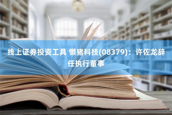 线上证券投资工具 懒猪科技(08379)：许佐龙辞任执行董事