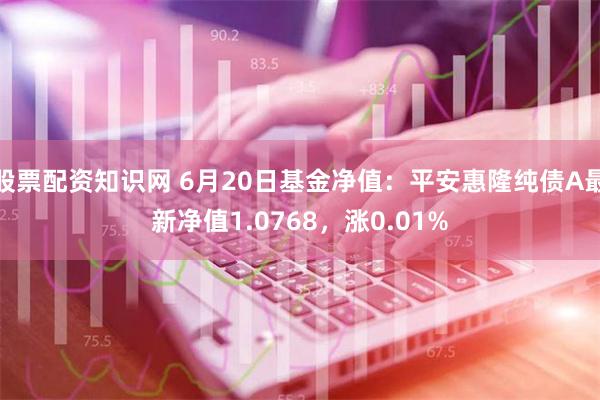 股票配资知识网 6月20日基金净值：平安惠隆纯债A最新净值1.0768，涨0.01%