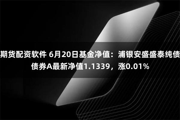 期货配资软件 6月20日基金净值：浦银安盛盛泰纯债债券A最新净值1.1339，涨0.01%