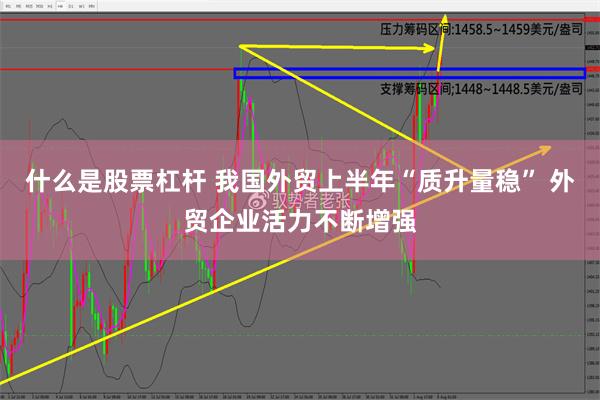 什么是股票杠杆 我国外贸上半年“质升量稳” 外贸企业活力不断增强