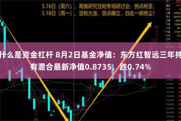 什么是资金杠杆 8月2日基金净值：东方红智远三年持有混合最新净值0.8735，跌0.74%