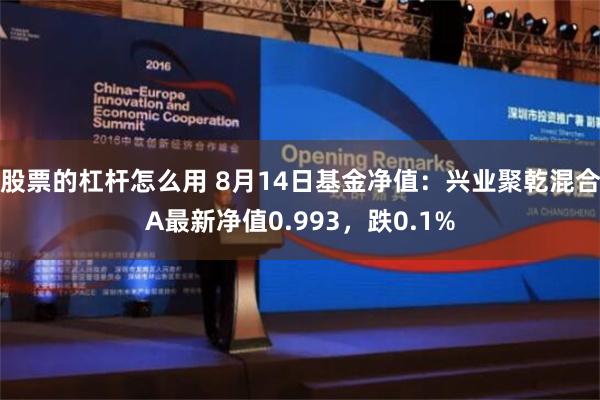 股票的杠杆怎么用 8月14日基金净值：兴业聚乾混合A最新净值0.993，跌0.1%