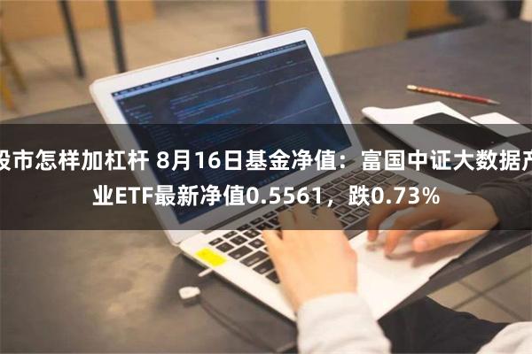 股市怎样加杠杆 8月16日基金净值：富国中证大数据产业ETF最新净值0.5561，跌0.73%