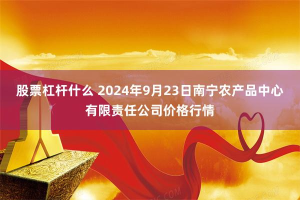 股票杠杆什么 2024年9月23日南宁农产品中心有限责任公司价格行情