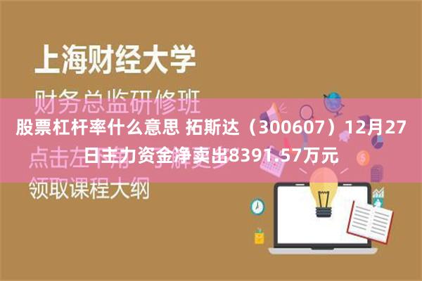 股票杠杆率什么意思 拓斯达（300607）12月27日主力资金净卖出8391.57万元